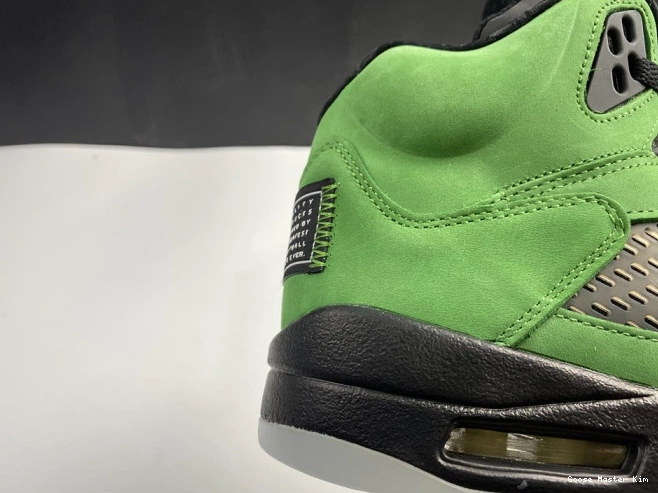 Jordan 5 Ducks SE CK6631-307 Oregon Air 0811